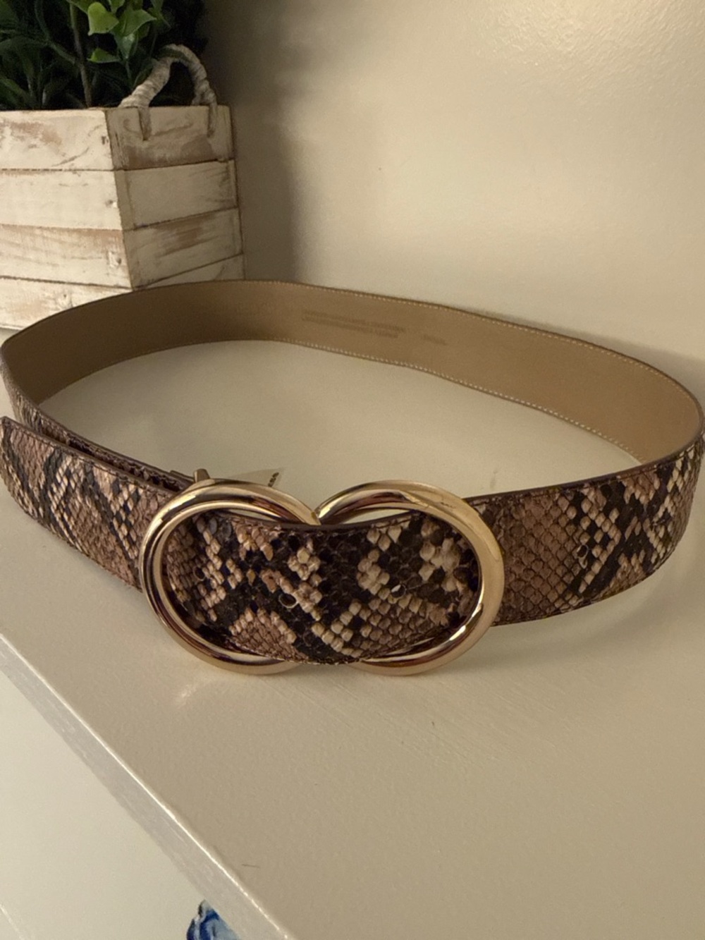 Express Women’s Fashion Belt Brown Snake Print Gold Double Ring Buckle Classic